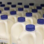 Bottles of milk on display at the supermarket